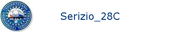 Serizio_28C